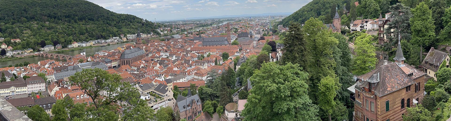 Panoramic view of red-roofed buildings in Germany surrounded by green hills and a river.